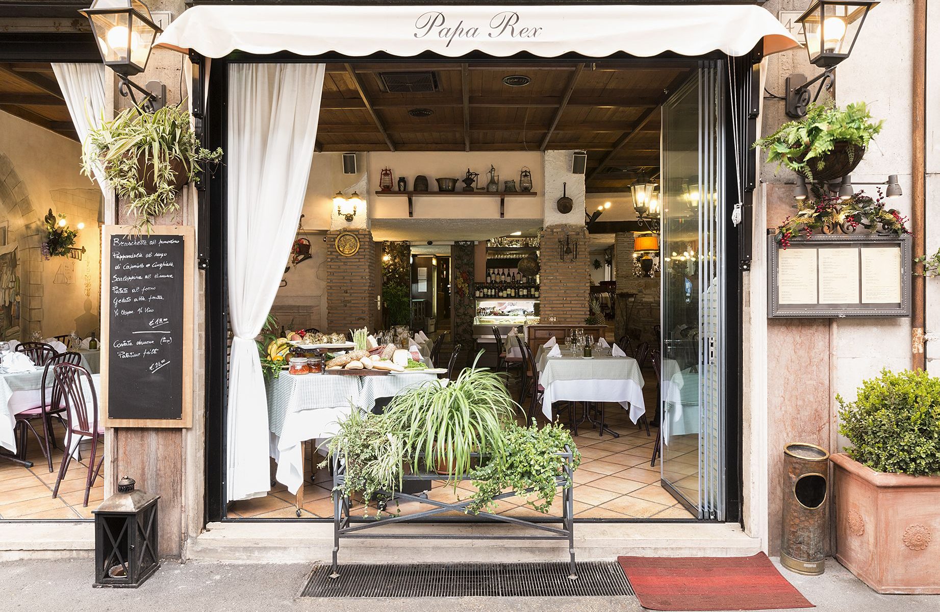 Welcome to Papa Rex Blog!